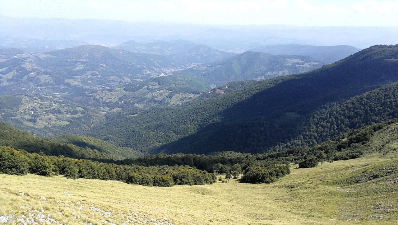 Koliba Pcelica 2 Villa Bijelo Polje Luaran gambar
