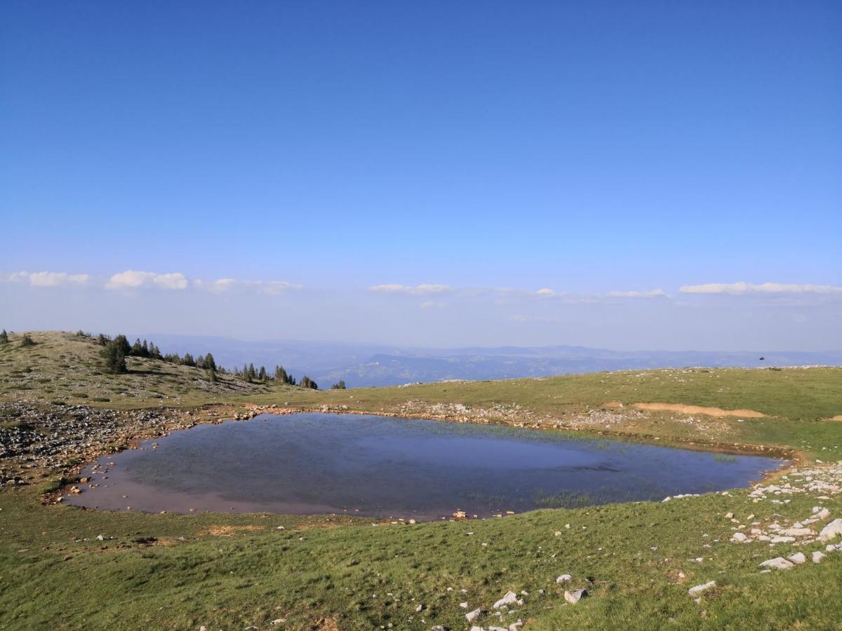 Koliba Pcelica 2 Villa Bijelo Polje Luaran gambar