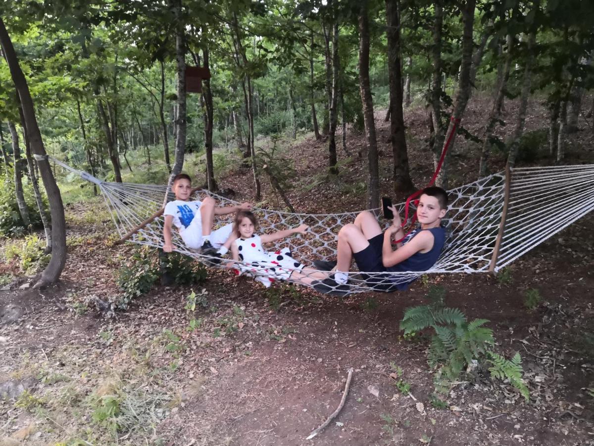 Koliba Pcelica 2 Villa Bijelo Polje Luaran gambar